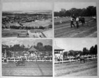 The First  Canadian Pacing Derby: New Hamburg